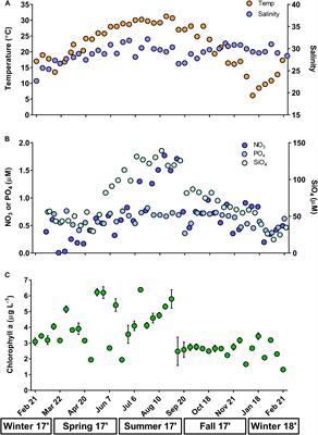 Seasonal Variability and Drivers of Microzooplankton Grazing and Phytoplankton Growth in a Subtropical Estuary